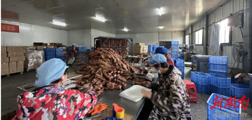 衡南县江口镇大力发展乡村车间 助力乡村振兴