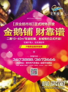 金鹅小商品商贸城 商贸繁荣之地深度解析